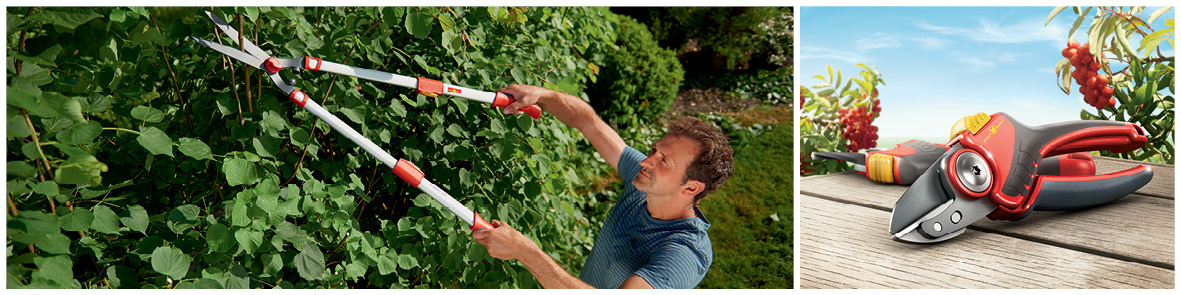 Secateurs and Loppers