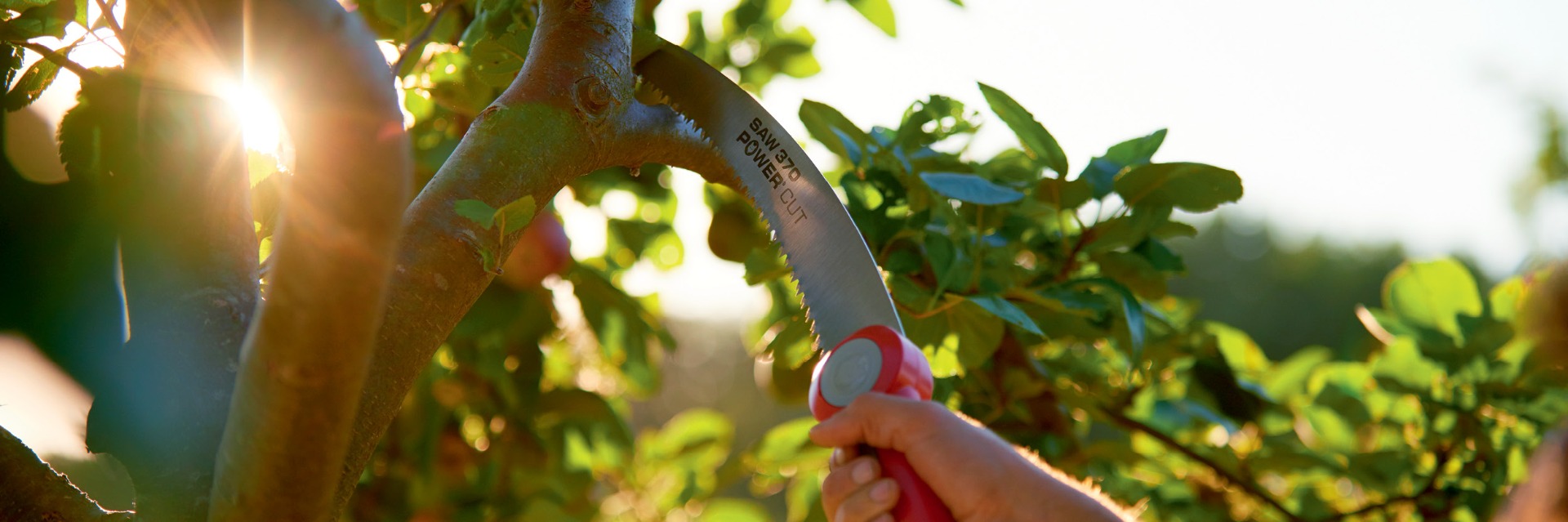 WOLF-Garten Pruning Saw