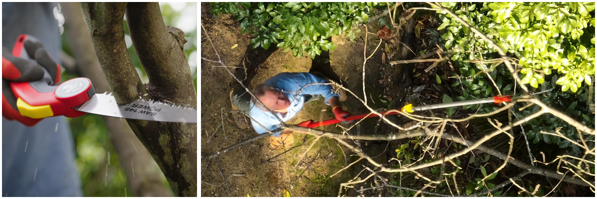 WOLF-Garten Pruning Saws with Nigel Ruck of the Garden Gurus