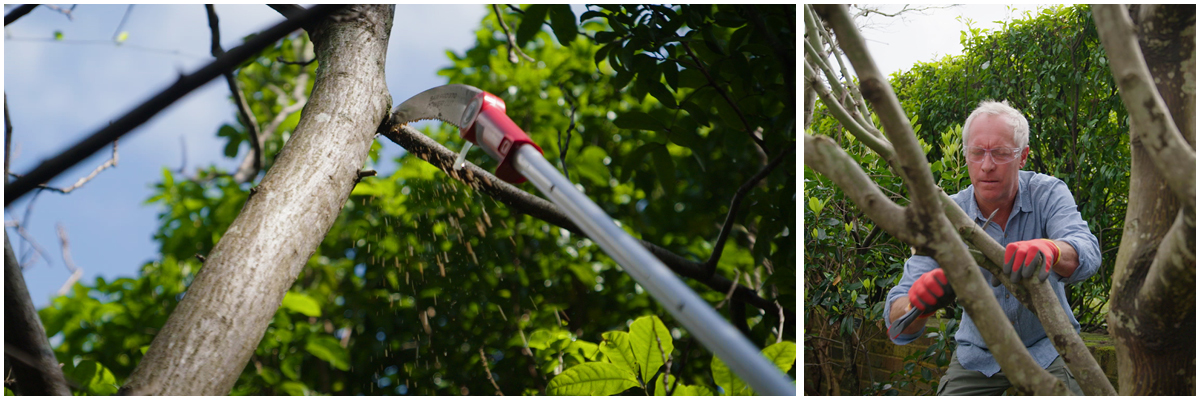 WOLF-Garten Pruning Saws with Nigel Ruck of the Garden Gurus