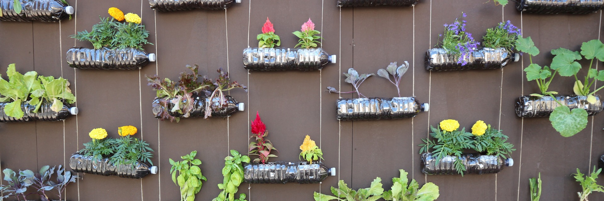 Plastic bottle hanging planters