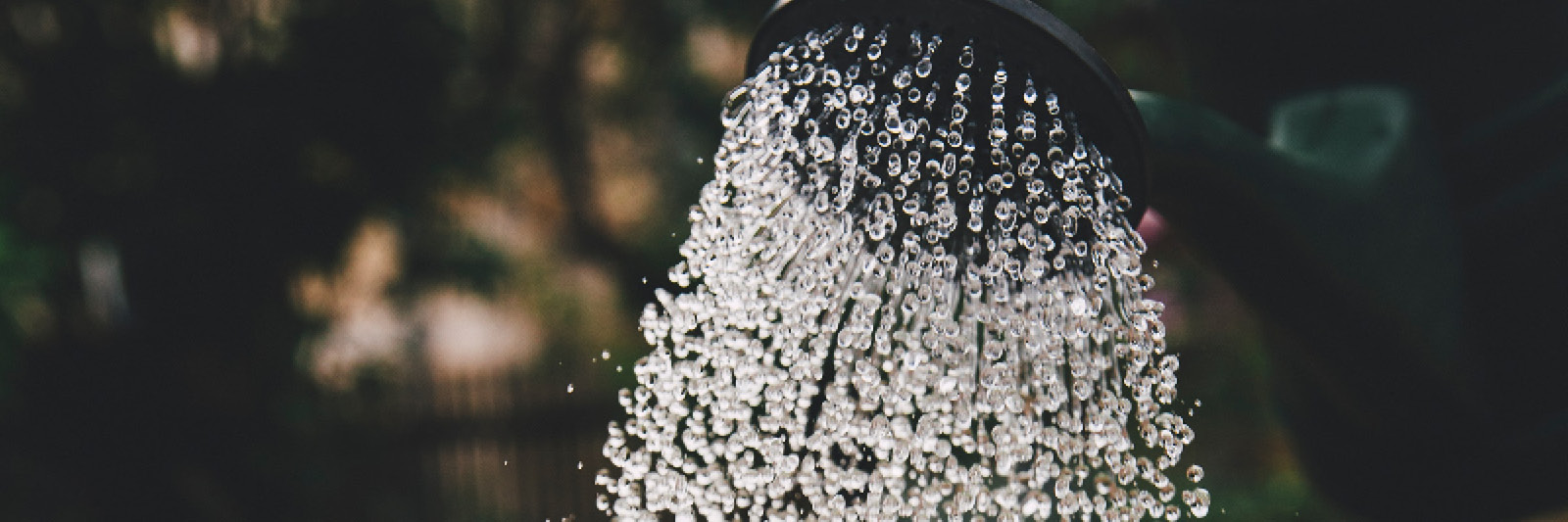 Watering can in the garden