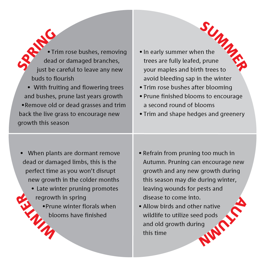 Seasonal Pruning Guide