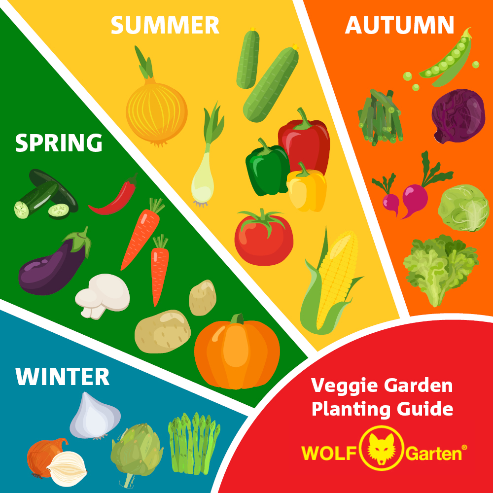 Veggie Garden Planting Guide