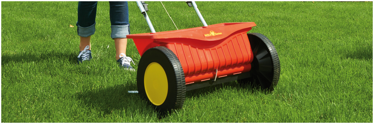 Fertilize with Seed Spreader