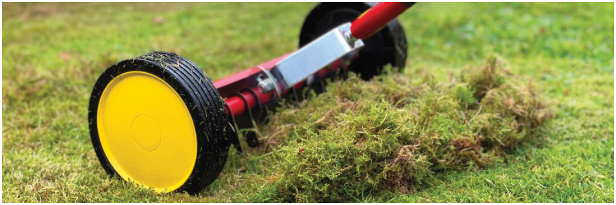 Scarifying Roller Rake