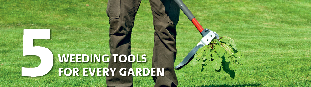 5 Weeding Tools for Every Garden