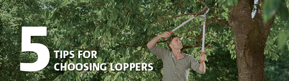 5 Tips for Choosing the Right Loppers