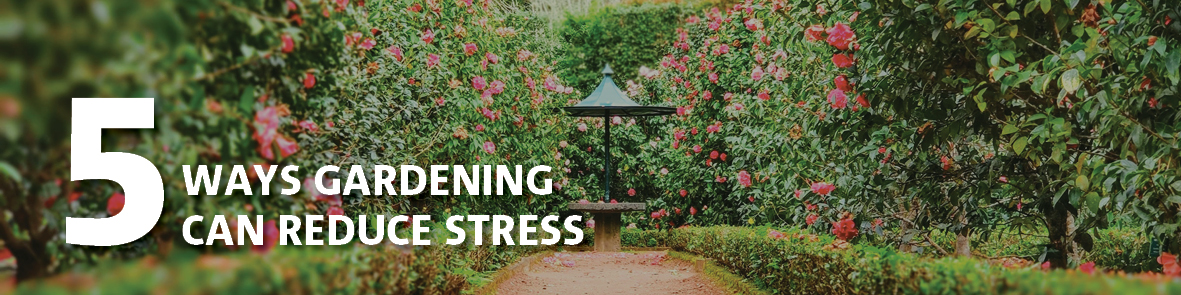 5 Ways Gardening Can Reduce Stress