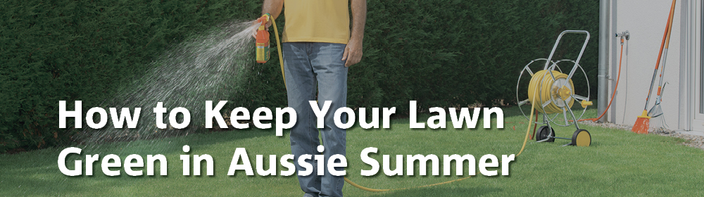 How to Keep Your Lawn Green in Aussie Summer