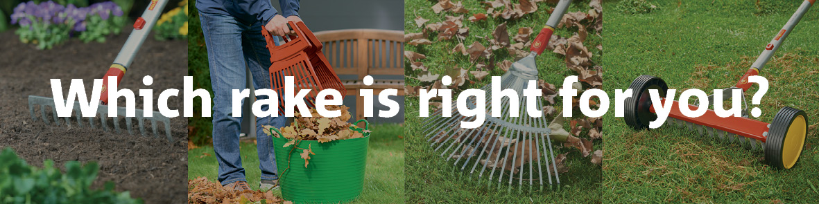 Which rake is right for you?