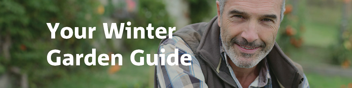 Your Winter Garden Guide