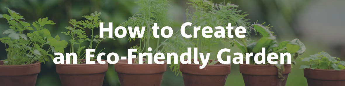 How to Create an Eco-Friendly Garden