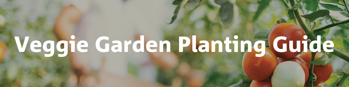 Veggie Garden Planting Guide
