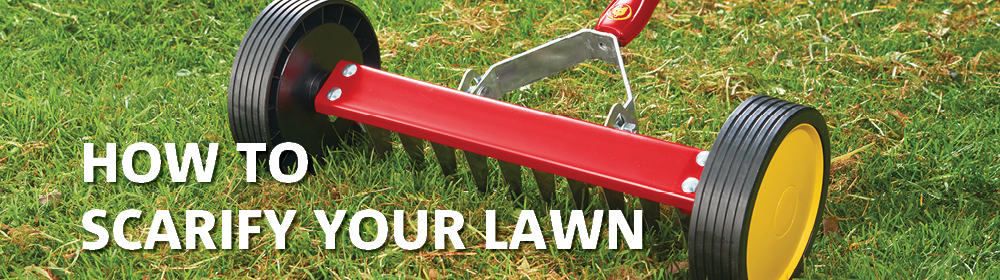 How to Scarify Your Lawn